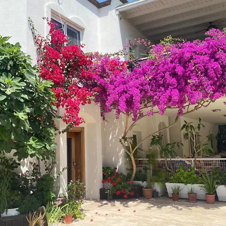 شقة فندقية كارايل أبارت للشقق الفندقية بودروم