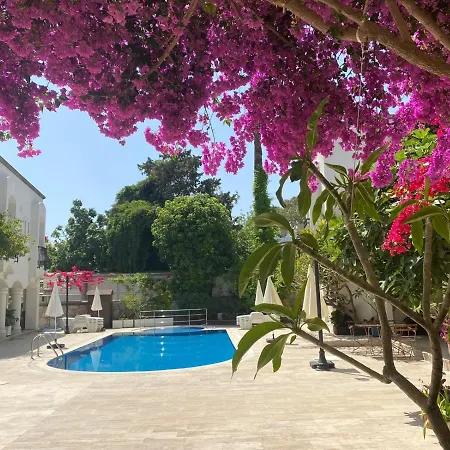 كارايل أبارت للشقق الفندقية