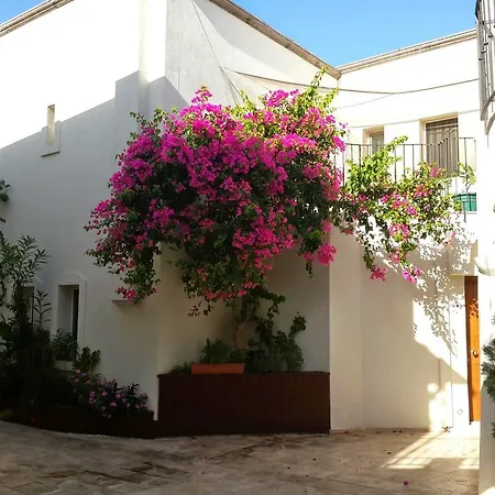 كارايل أبارت للشقق الفندقية *