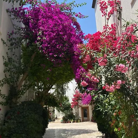 Aparthotel Karayel Apart *